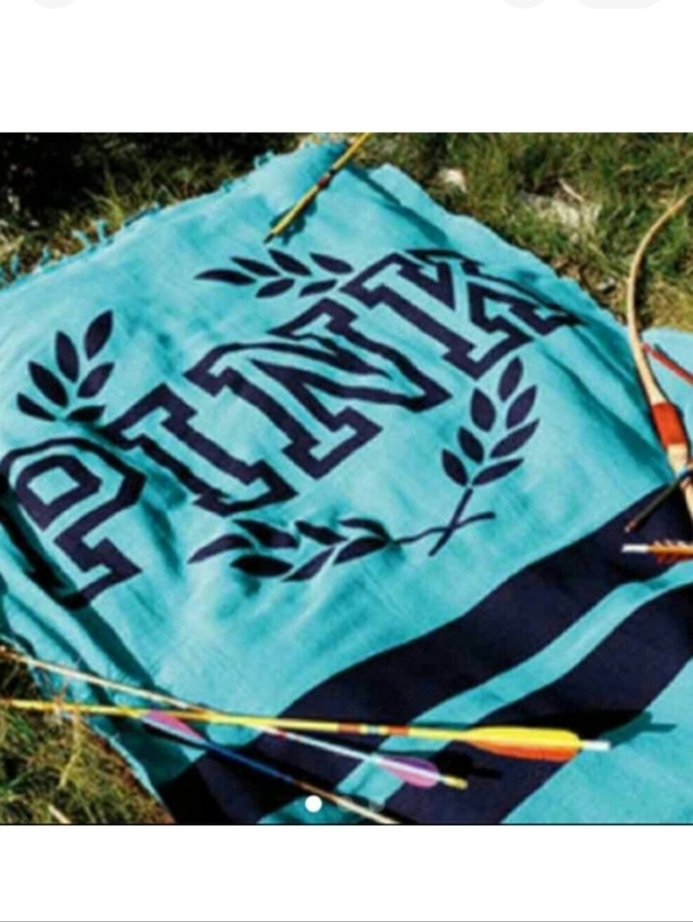 PINK Victoria's Secret Aqua Blanket